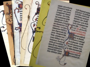 Various Beauvais Missal leaves from various collections; note the varying image quality, a definite barrier to inter-institutional collaboration.